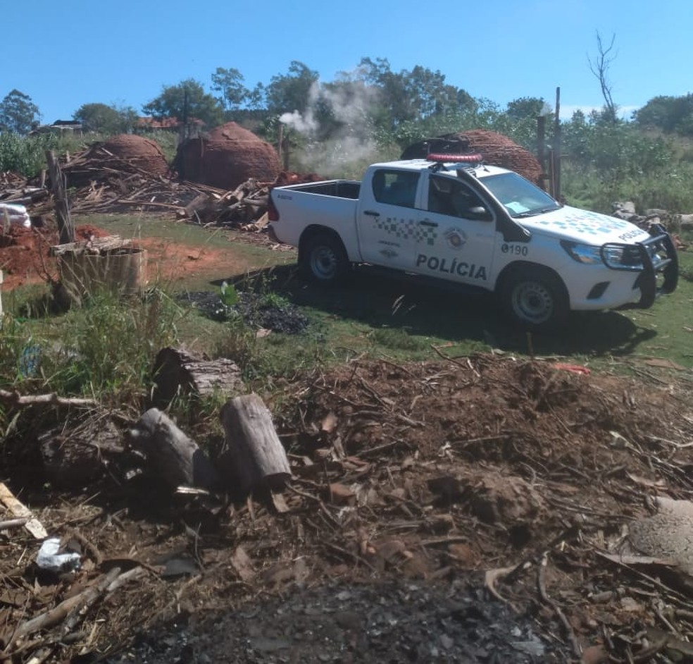 Polícia Ambiental apreendeu 315 quilos de carvão em carvoaria clandestina em Santo Anastácio — Foto: Polícia Ambiental 