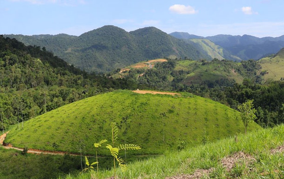 Área recuperada com o plantio de 430 árvores  — Foto: Divulgação
