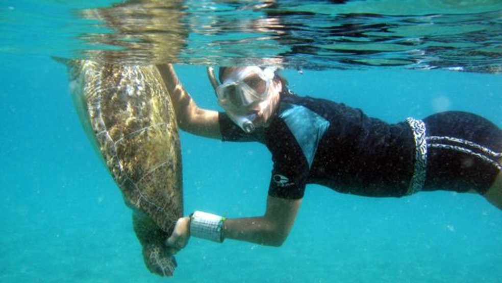 'Me encantei por esses animais e desde então sou fascinada por eles', diz Proietti sobre suas pesquisas — Foto: Divulgação