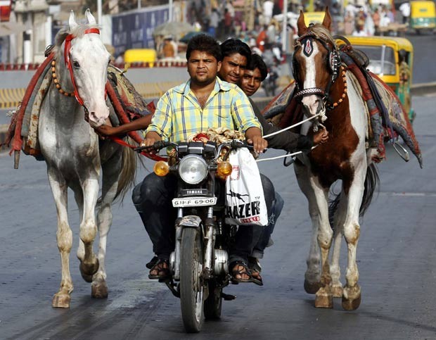 Em maio de 2011, um motociclista foi visto levando dois passageiros na garupa de sua moto enquanto eles puxavam dois cavalos em uma estrada na cidade indiana de Ahmedabad. (Foto: Amit Dave/Reuters)