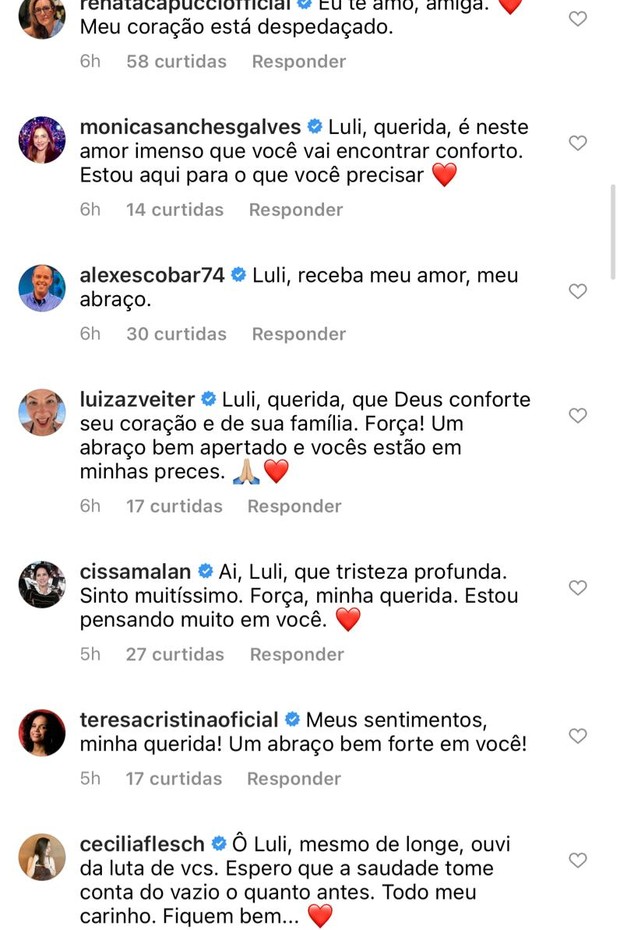 Ana Luiza Guimarães recebe mensagens de condolências pela morte do marido (Foto: Reprodução/Instagram)