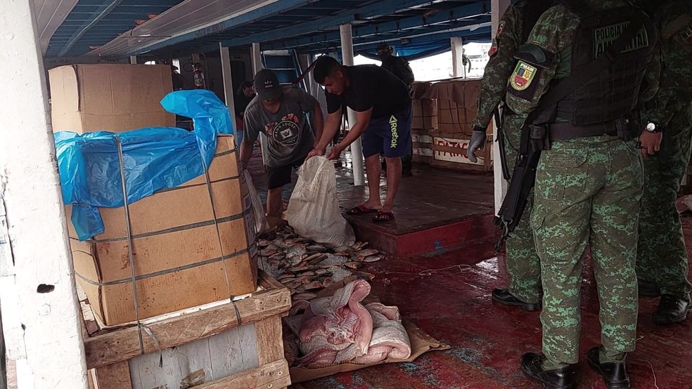 Sete toneladas de pescado são apreendidas em barcos na orla de Manaus — Foto: Eliana Nascimento/G1