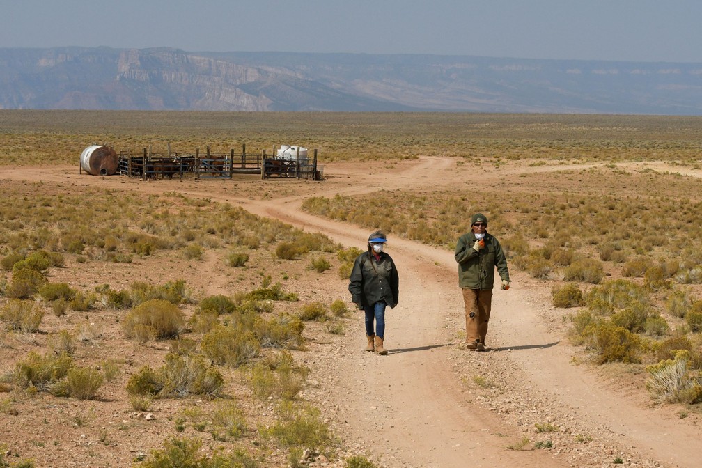 Maybelle e Leonard caminham vindo de seu curral de gado — Foto: Stephanie Keith/Reuters