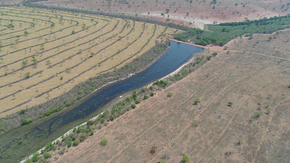 Localização e condições propícias para criação de gado foram definitivas para Mônica investir na propriedade rural, em Figueirão. — Foto: Mônica Hoop/Arquivo Pessoal