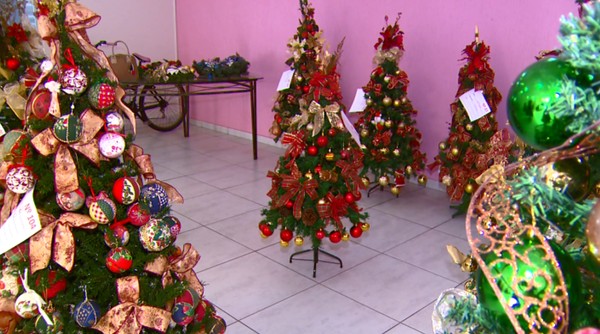 Rede de Combate ao Câncer aluga árvores de Natal em Rio Claro para ajudar  pacientes carentes | São Carlos e Araraquara | G1