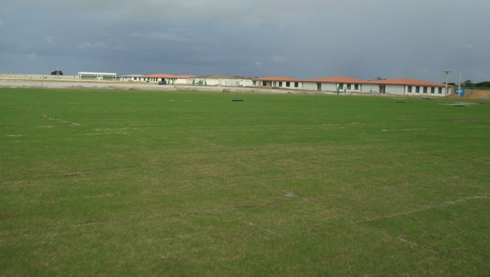Campo 1 do NInho do Galo está com a grama toda plantada (Foto: Denison Roma / GloboEsporte.com)