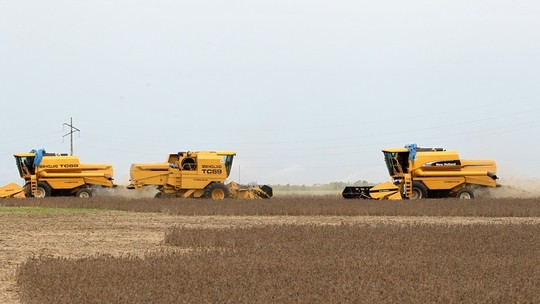 Colheita de soja atinge 30% da área no Brasil, estima Safras & Mercado