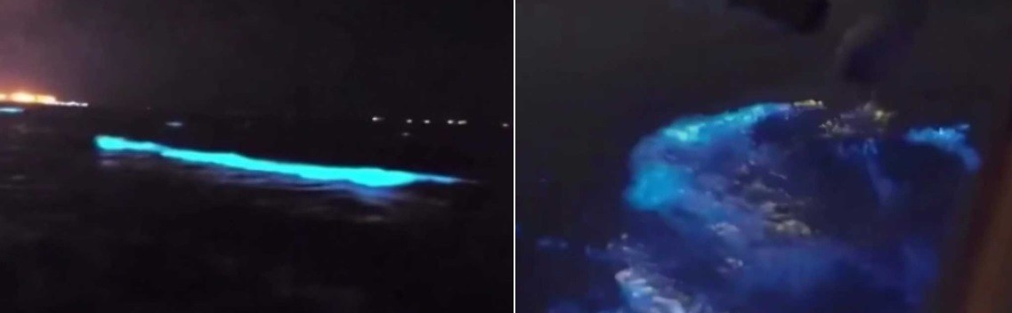 Bioluminescência em mar na China