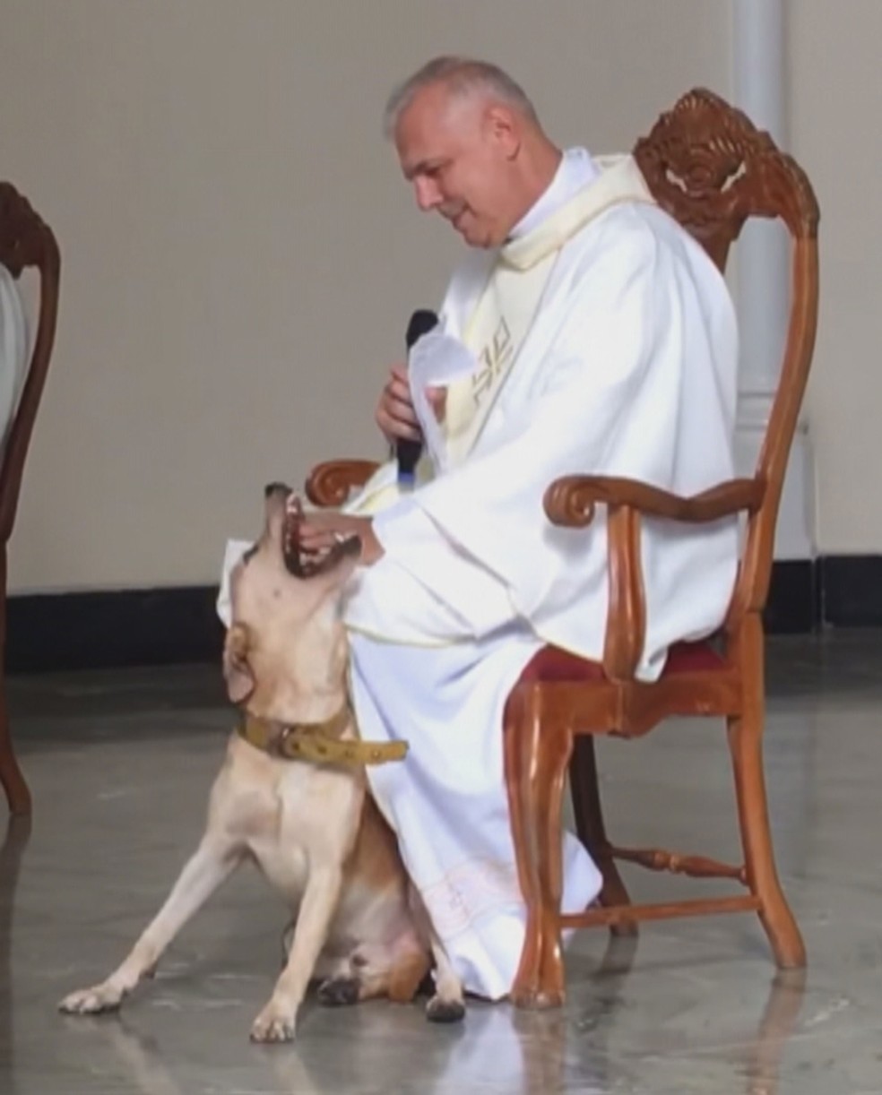 Cão entra em missa e brinca com padre durante celebração em BH — Foto: Reprodução