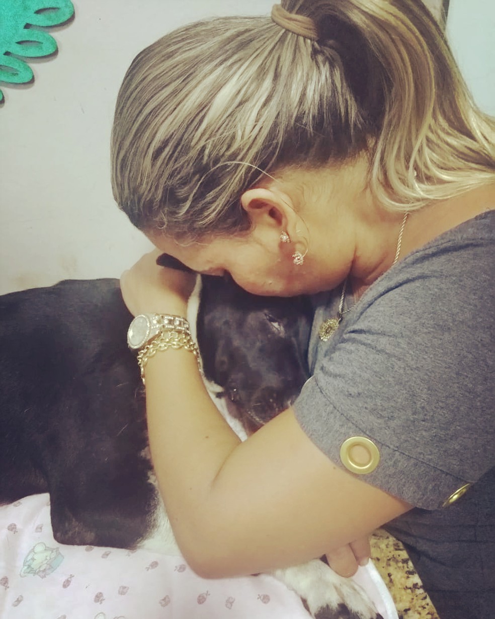 Cachorra resgatada de precipício morreu horas depois de receber alta em Marília — Foto: Arquivo pessoal