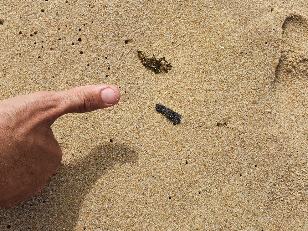 Fragmentos foram removidos das praias do estado — Foto: CPRH/Divulgação