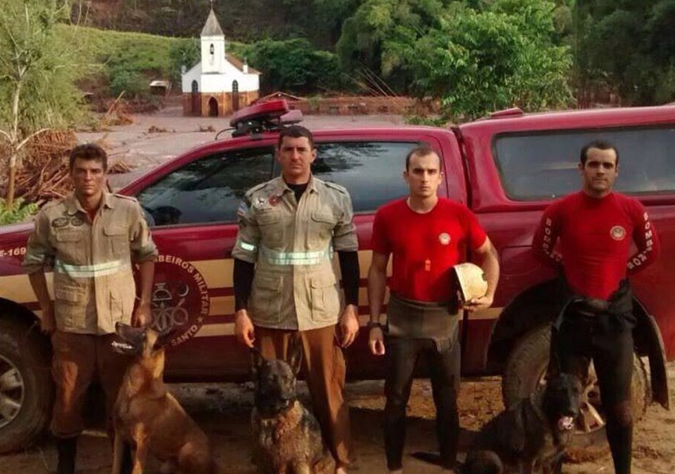 Cadela que ajudou nos resgates em Brumadinho morre aos 12 anos