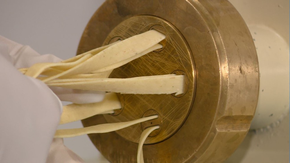 Maccheroni fatti con farina di bambù: il gusto della pianta è impercettibile al palato del brasiliano - Foto: EPTV 1