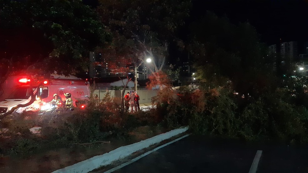 Homem foi socorrido ao hospital Walfredo Gurgel após ser atingido por árvore em Natal — Foto: Sérgio Henrique Santos/Inter TV Cabugi