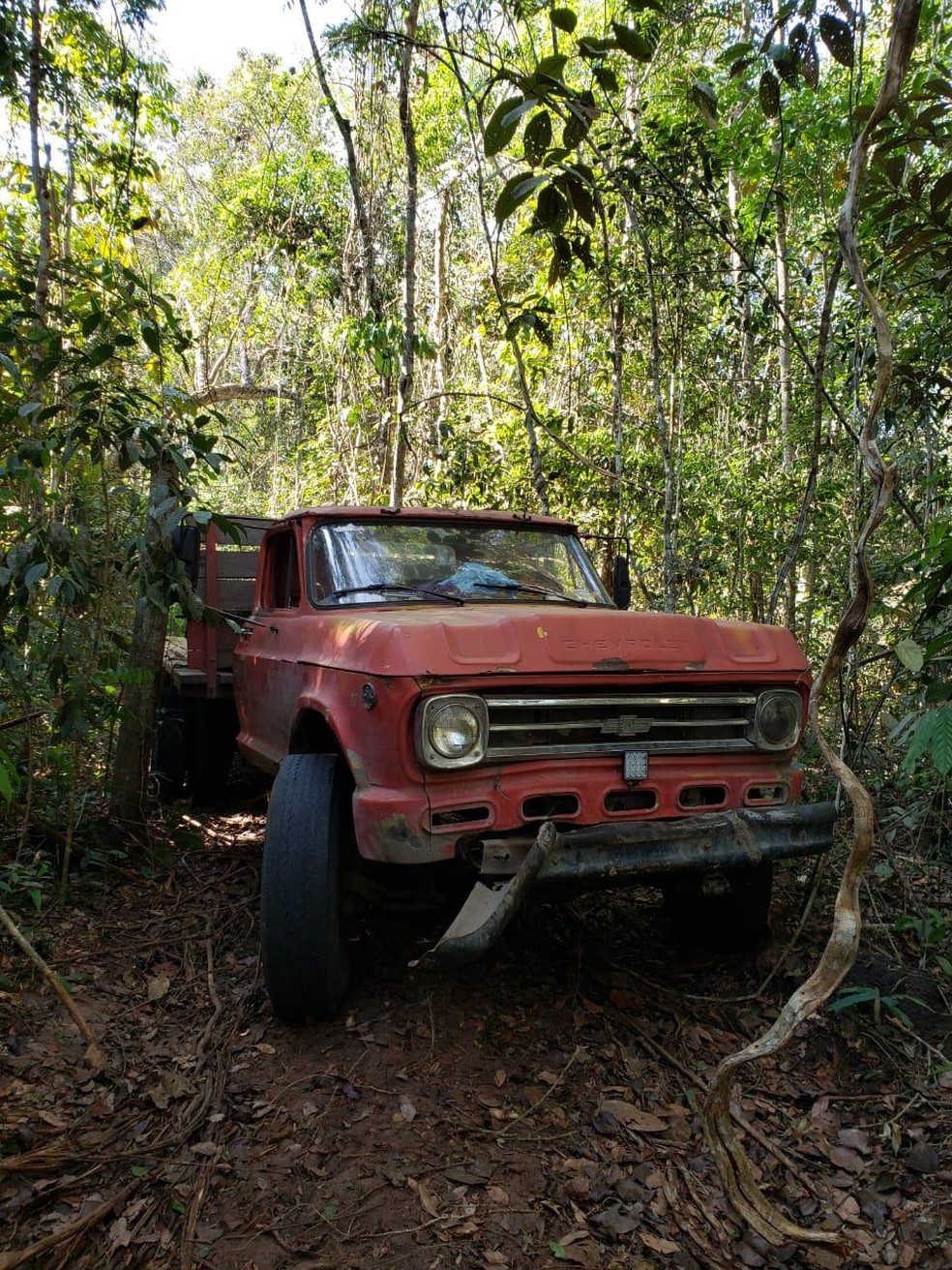 Caminhão é encontrado dentro de reserva indígena em RO — Foto: PF/Divulgação