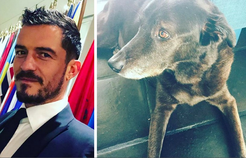 O ator Orlando Bloom e o cachorro Sidi, que morreu em 2015 (Foto: Instagram)