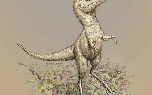 Tiranossauro Rex caminhava surpreendentemente devagar, descobre estudo