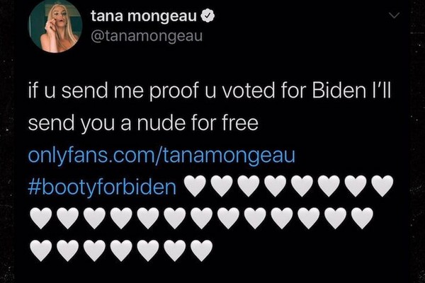 A oferta feita pela influenciadora e youtuber Tana Monegau nas redes sociais: nudes em troca de comprovantes de votos em Joe Biden (Foto: Twitter)