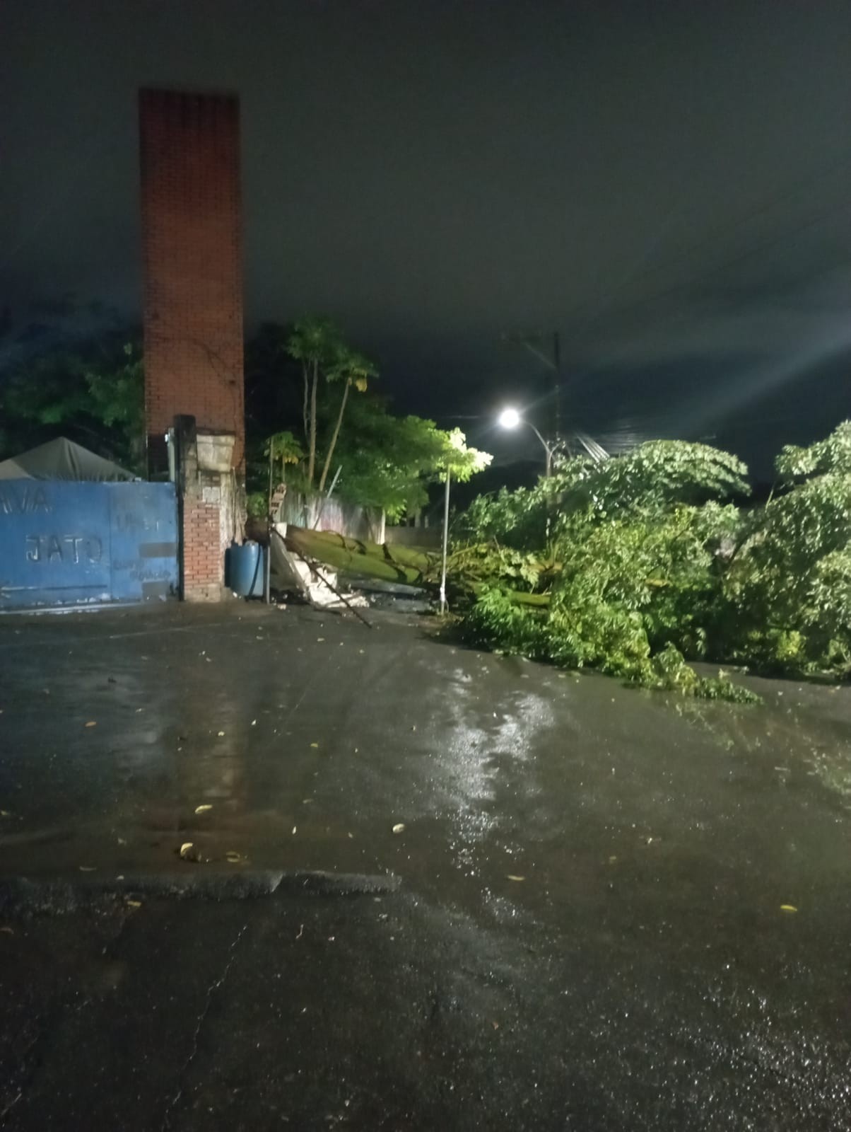 Árvore cai e derruba muro e poste no bairro da Mata Escura, em Salvador