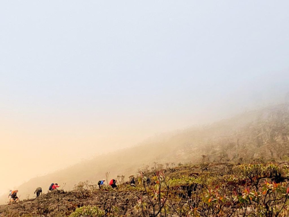 Expedição de reabertura no Pico da Neblina está marcada para acontecer dia 17 de março. — Foto: Vanessa Marino