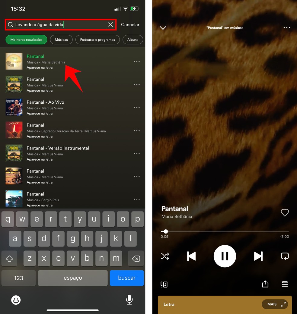 Pantanal 2022: como ouvir a trilha sonora da novela pelo Spotify |  Streaming | TechTudo