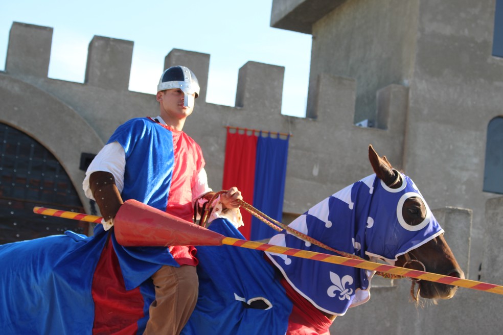 Castelo já conta com oito cavalos que farão parte do projeto — Foto: Pâmela Ramos/G1