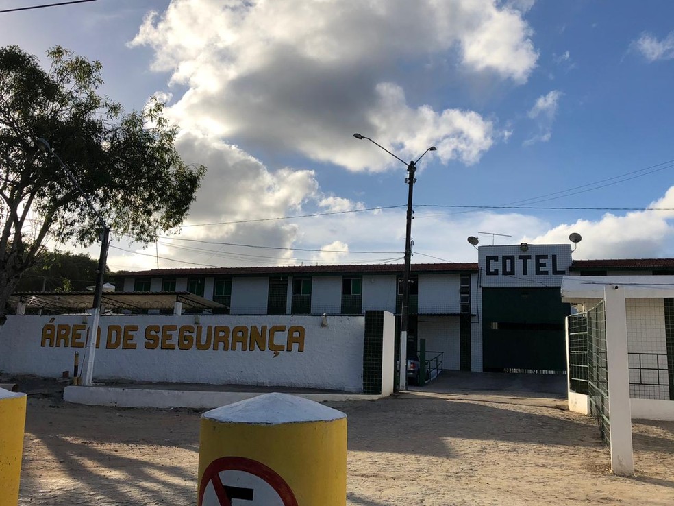 Centro de Observação e Triagem Professor Everardo Luna (Cotel) fica em Abreu e Lima, no Grande Recife — Foto: Marina Meireles/G1