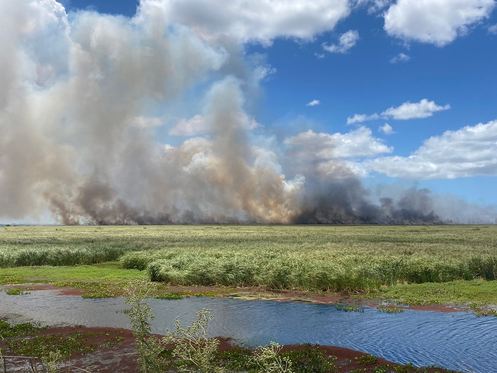 Incêndio na Estação Ecológica do Taim na terça-feira (13) — Foto: Arildo Palermo/RBS TV