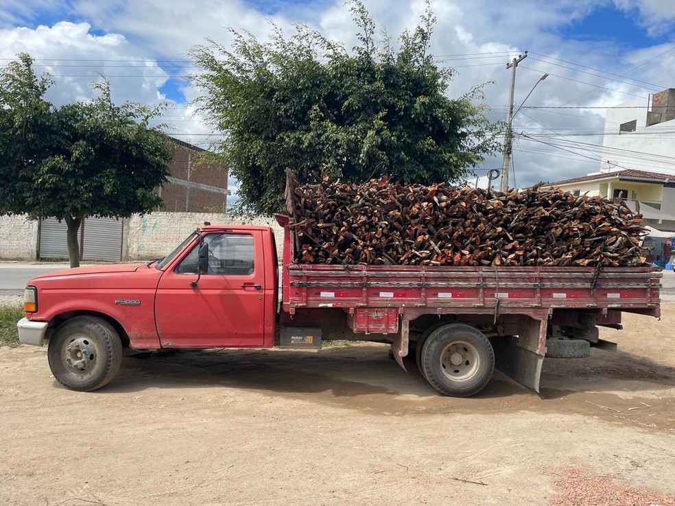 Cipoma apreende carga de madeira em São Bento do Una — Foto: Polícia Militar/Reprodução