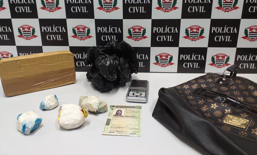 Mulher de 28 teve a prisão preventiva decretada após as apreensões na casa dela — Foto: Polícia Civil/Divulgação