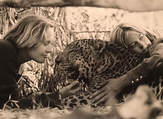 Tippi Hedren e Melanie Griffith com um dos dois tigres que tinham em casa (Foto: Reprodução / Instagram)