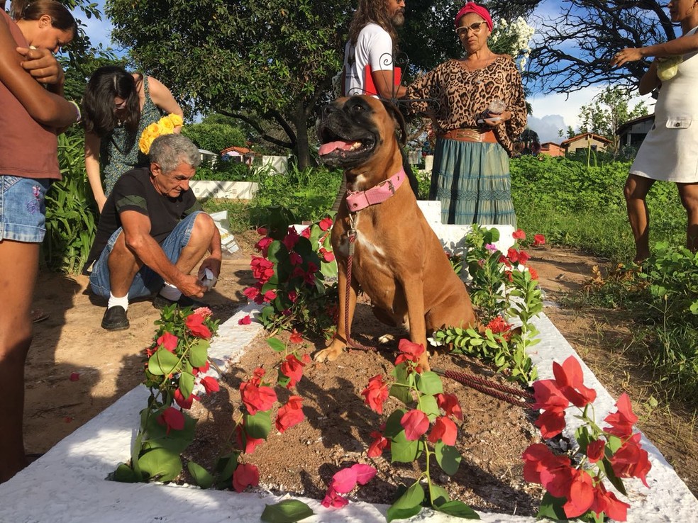 Familiares optaram por levar cadela em visita ao túmulo por estarem sensibilizados (Foto: Dionísio Neto / Arquivo Pessoal)