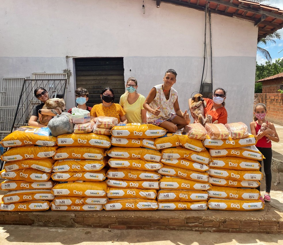"Cãofraternização" do Clubinho Amor de Maltês em Teresina, Piauí — Foto: Arquivo Pessoal/Amanda Lima