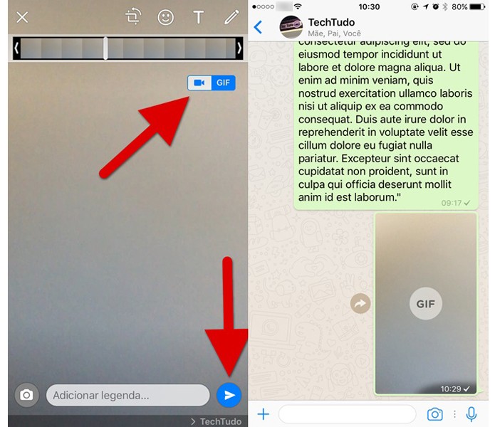 Transformando vídeos em GIFs no WhatsApp (Foto: Reprodução/Helito Bijora)