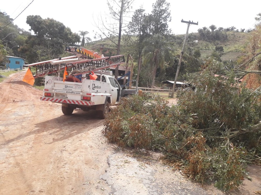 Na Rua Saturnino Teixeira, a árvore derrubou a fiação e interditou a via  — Foto: Defesa Civil/ Divulgação