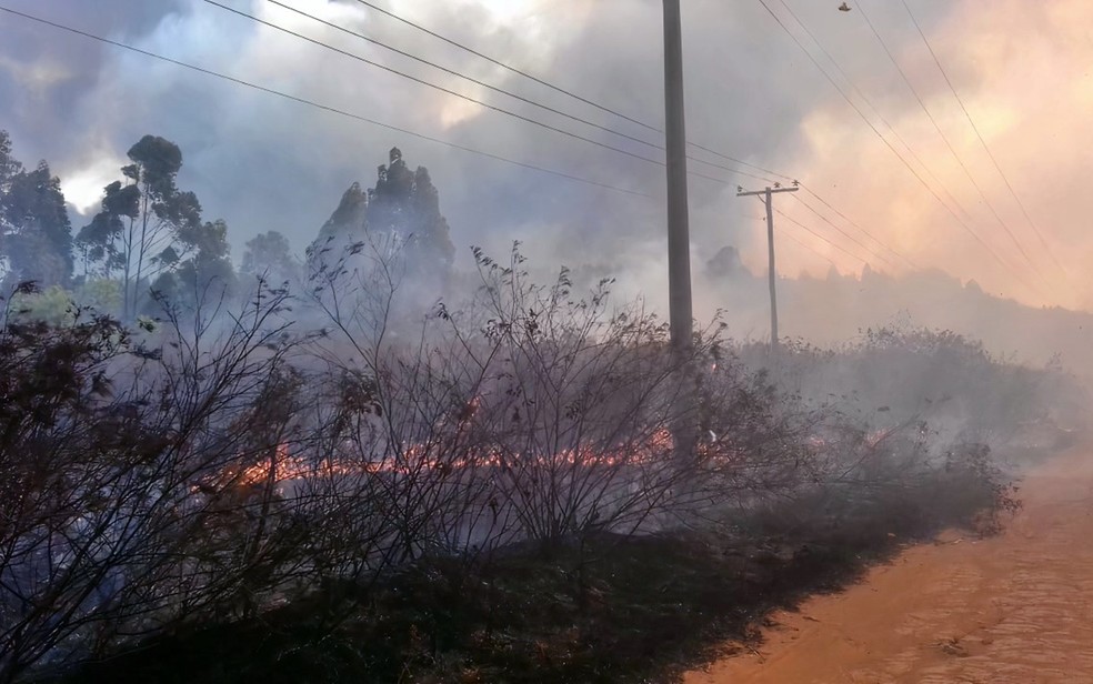 Queimadas deixaram pelo menos 25 mil clientes sem energia elétrica no Sul de Minas só neste ano, aponta Cemig — Foto: Divulgação / Cemig