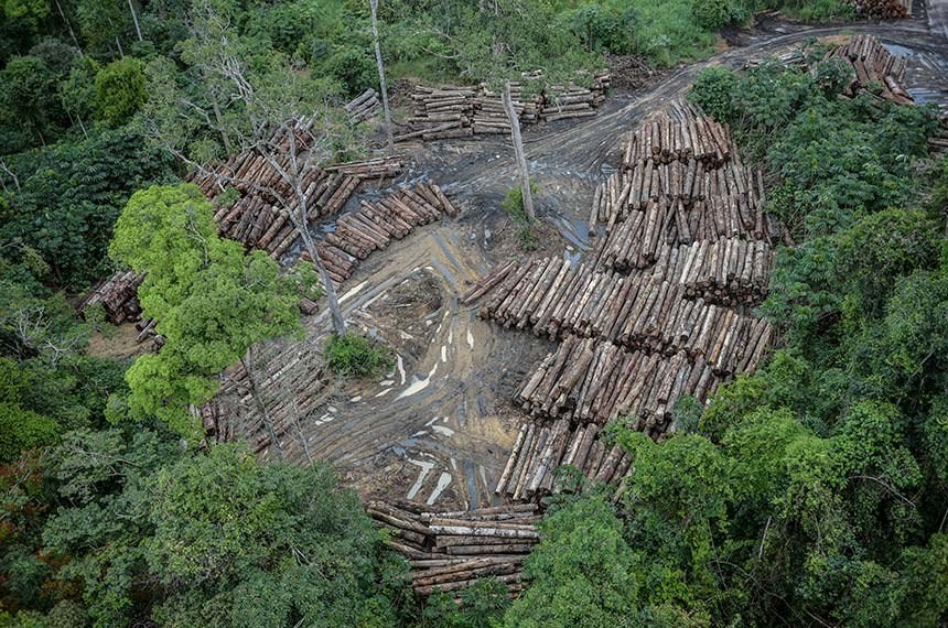 Desmatamento ilegal em Roraima registrado em 2018 pelo Ibama  (Foto: Felipe Werneck/Ibama  )