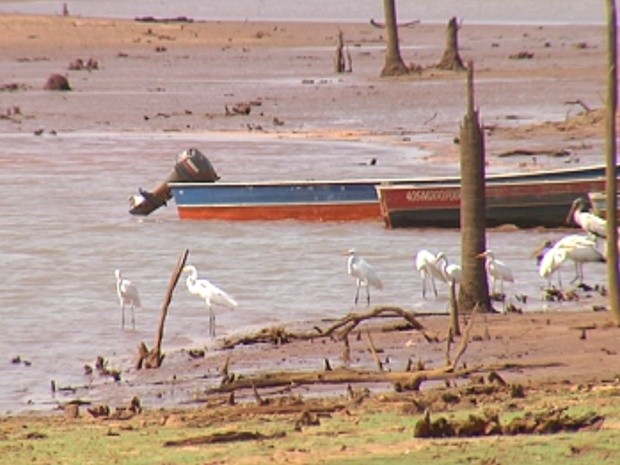 Seca prejudica o turismo da pesca no noroeste paulista (Foto: Reprodução/TV Tem)