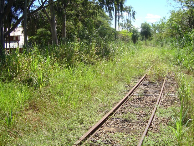 Ferrovia na região de Presidente Prudente está desativada (Foto: Arquivo MPF/Cedida)