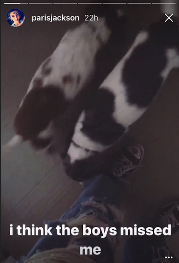 A jovem Paris Jackson com seus cães (Foto: Snapchat)
