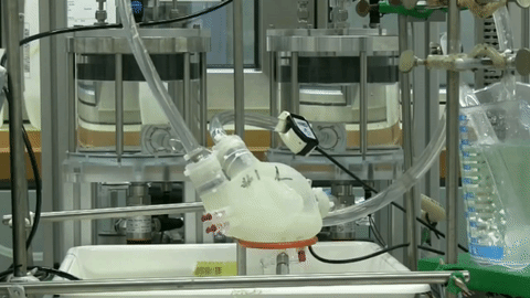Coração artificial feito em impressora 3D (Foto: Reprodução)