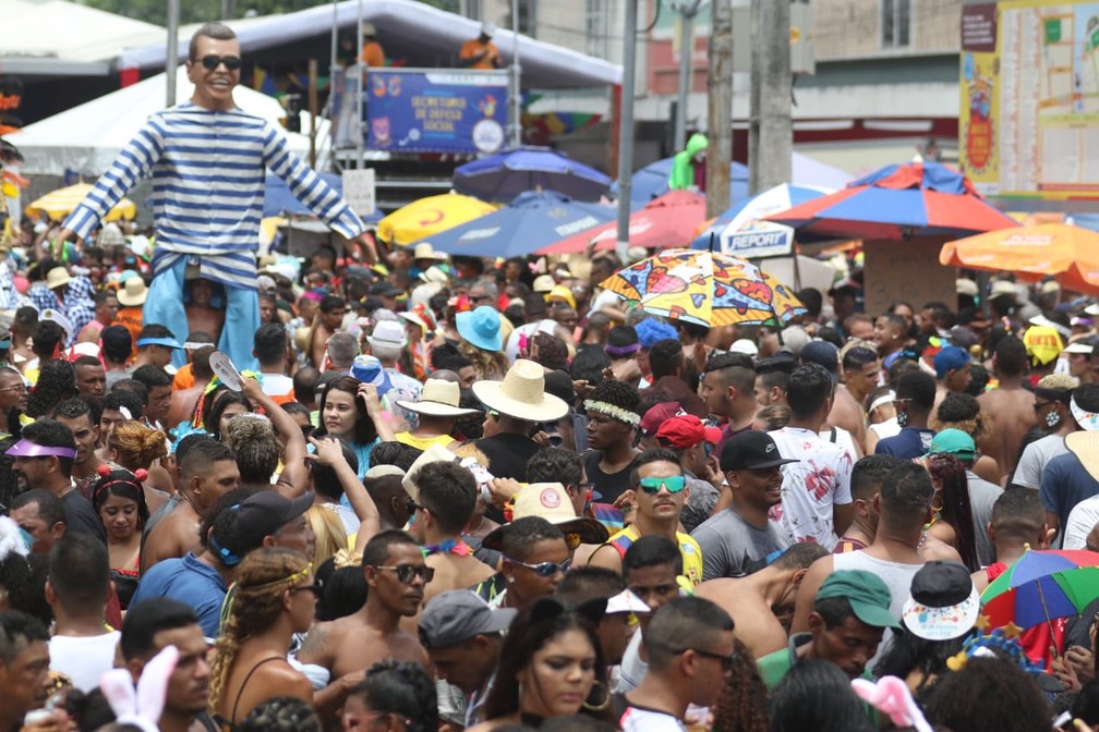 Foliões curtem o Galo da Madrugada, no Recife — Foto: Marlon Costa/Pernambuco Press