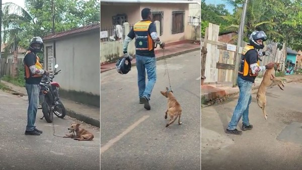 Mototaxita arrasta cachorro por rua de Manacapuru no Amazonas  — Foto: Reprodução