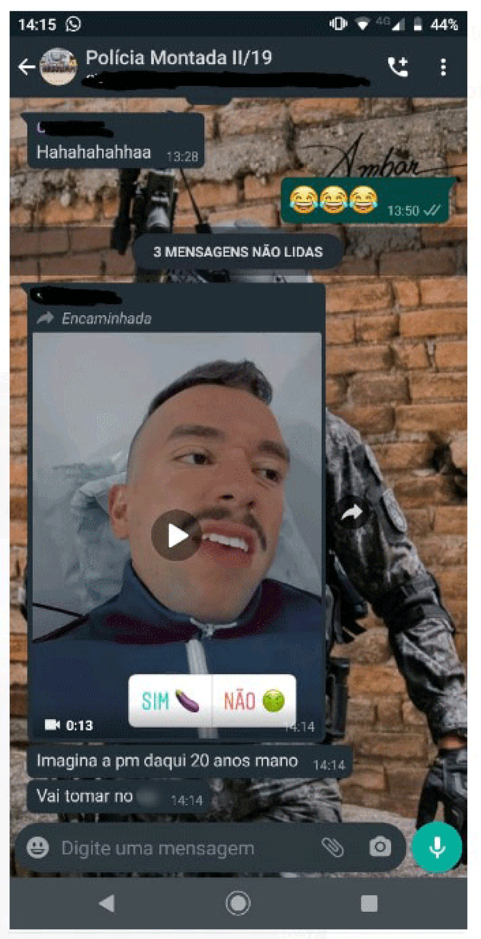 Vídeo no qual Guilherme perguntava a seus seguidores se eles gostavam de berinjela virou algo de críticas e ofensas em grupos de policiais nas redes sociais — Foto: Reprodução/Redes sociais