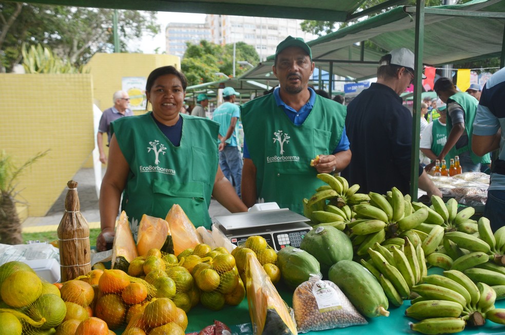 A 13ª Feira Agroecológica contou com uma estrutura de mais de 20 barracas, com cerca de 30 agricultores da Paraíba (Foto: Érica Ribeiro/G1)