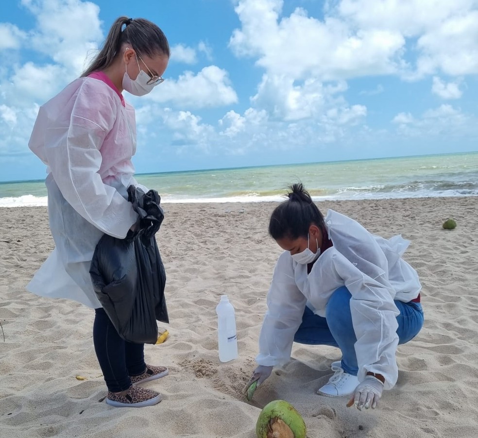 Pesquisa da UFPB encontra parasitas intestinais em praias  — Foto: Divulgação 