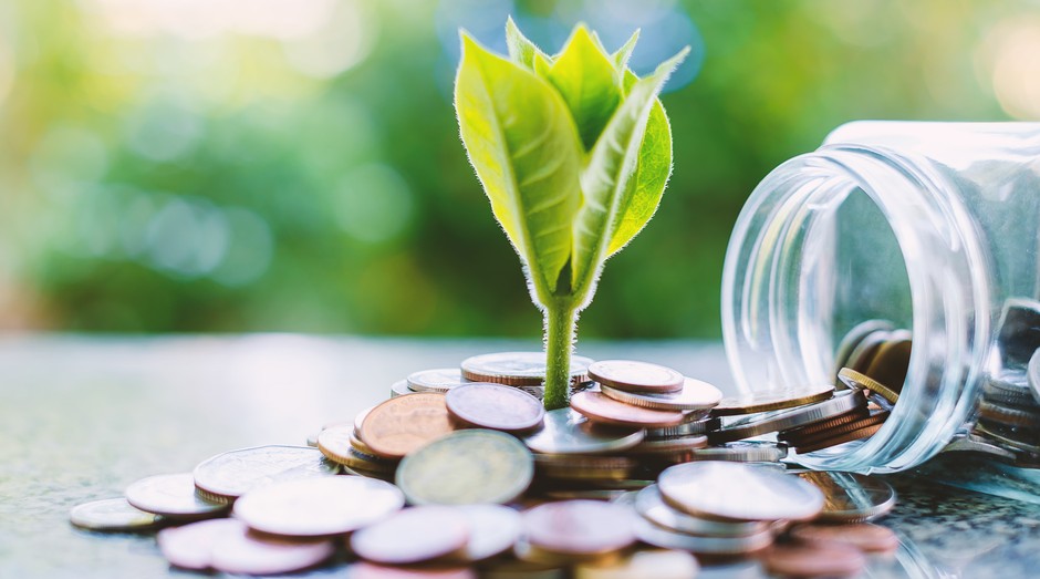 Sustentabilidade (Foto: Thinkstock)