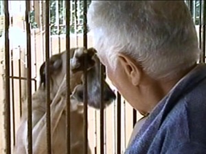 Aposentada cuida há 20 anos dos animais em Taquari, RS (Foto: Reprodução/RBS TV)