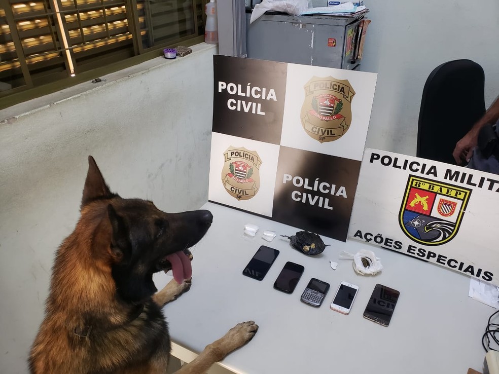 Cão farejador localizou as porções de entorpecentes — Foto: Polícia Civil