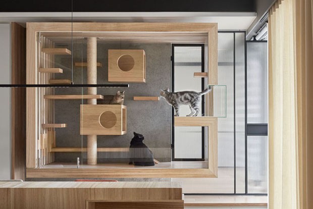 Uma casa para gatos com design integrado ao ambiente (Foto: Hey!Cheese Photography/ Divulgação)